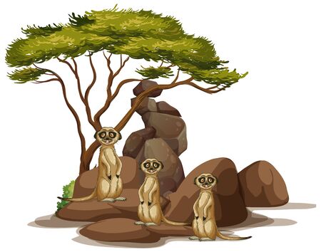 Isolated picture of meerkats on the rock illustrationのイラスト素材
