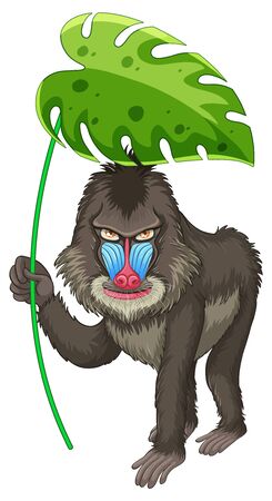 Cute baboon holding green leaf on white background illustrationのイラスト素材