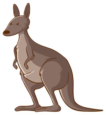 Kangaroo on whte background illustrationのイラスト素材