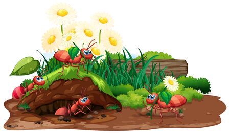 Scene with ants and flowers in the garden illustrationのイラスト素材