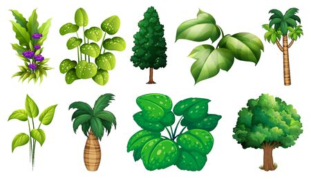 Set of variety plants and trees illustrationのイラスト素材