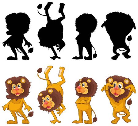 Lion with its silhouette illustrationのイラスト素材