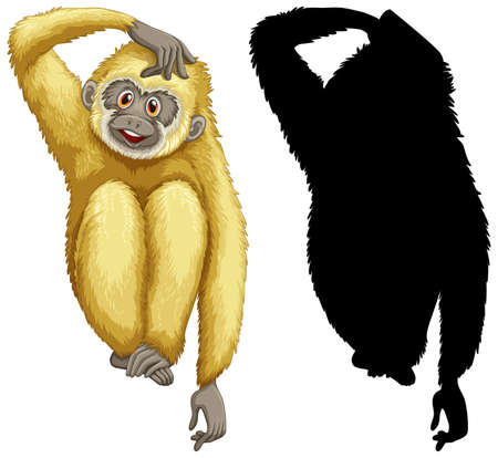 Animal with its silhouette illustrationのイラスト素材