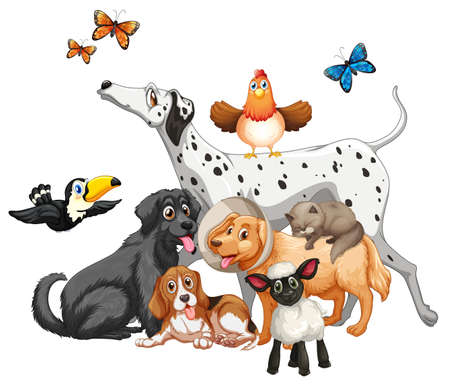Group of cute animals cartoon character isolated illustrationのイラスト素材