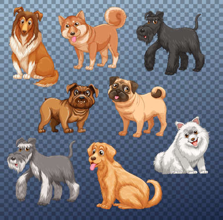 Set of different dogs isolated illustrationのイラスト素材