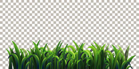 Grass on transparent background illustrationのイラスト素材