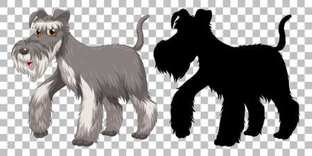 Cute Wire Fox Terrier and its silhouette on transparent background illustrationのイラスト素材