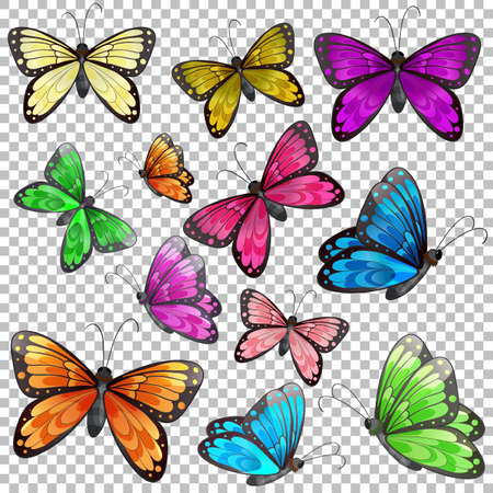 Set of different butterfly on transparent background illustrationのイラスト素材