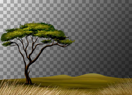 Nature landscape scene on transparent background illustrationのイラスト素材
