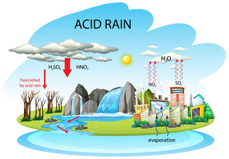 Diagram showing acid rain pathway on white background illustrationのイラスト素材
