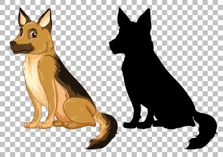 Cute german shepherd and its silhouette on transparent background illustrationのイラスト素材