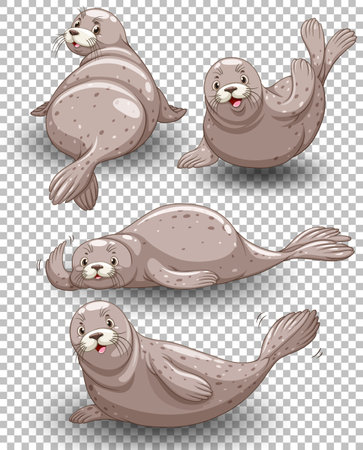 Set of seal cartoon transparent background illustrationのイラスト素材
