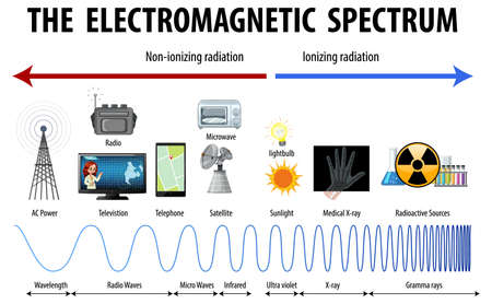 Science Electromagnetic Spectrum diagram illustrationのイラスト素材