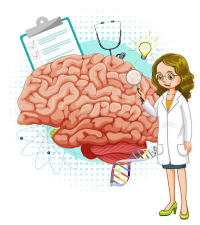 Doctor and brain on white background illustrationのイラスト素材