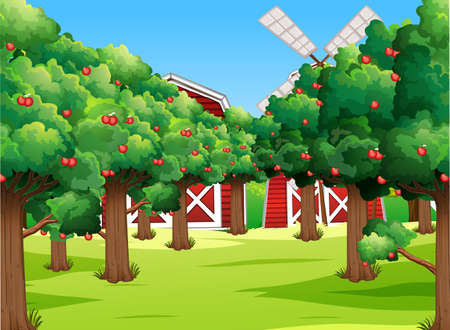 Farm scene with many apple trees illustrationのイラスト素材