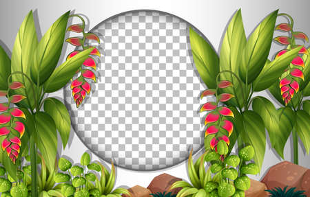 Round frame transparent with tropical leaves template illustrationのイラスト素材