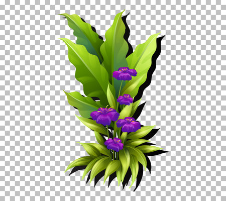 Tropical flower and leaf on transparent background illustrationのイラスト素材