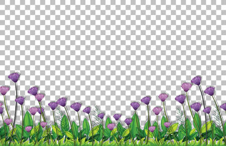 Purple flowers field on transparent background illustrationのイラスト素材