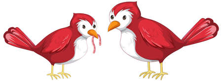 Two red bird catching worm in cartoon style isolated illustrationのイラスト素材