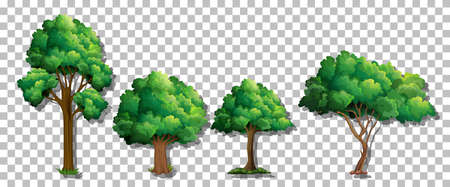 Set of various trees on transparent background illustrationのイラスト素材