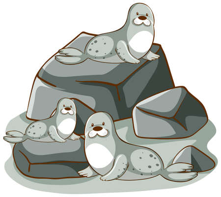 Many seals on the rocks illustrationのイラスト素材