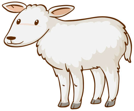 Baby sheep animal cartoon on white background illustrationのイラスト素材