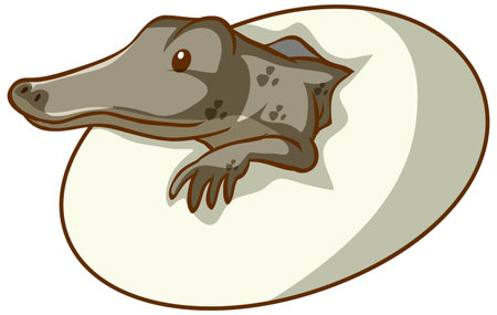 Alligator hatching from an egg on white background illustrationのイラスト素材