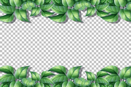 Nature plants frame transparent background illustration