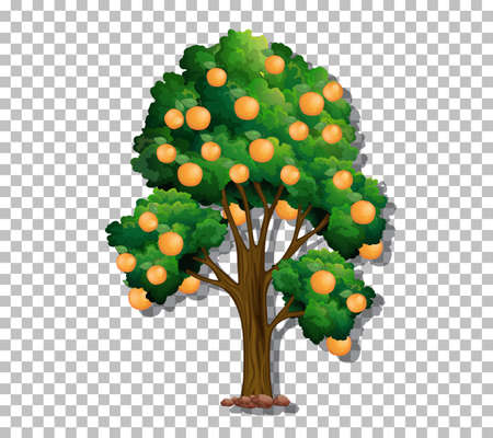 Tree on transparent background illustrationのイラスト素材