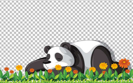 Panda bear laying on green grass on transparent background illustrationのイラスト素材