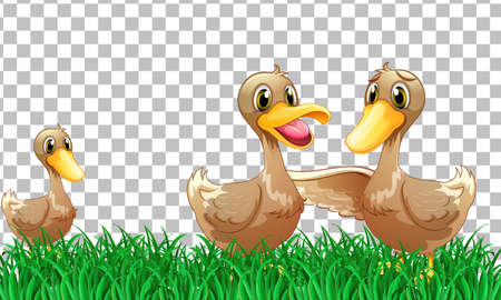 Many ducks cartoon character on transparent background illustrationのイラスト素材