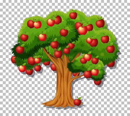 Apple tree on transparent background illustrationのイラスト素材