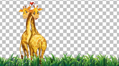Giraffe on the grass field on transparent background illustrationのイラスト素材