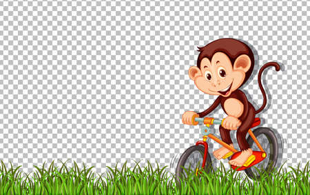 Monkey ride a bicycle on transparent background illustrationのイラスト素材