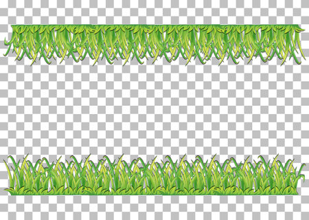 Nature plants frame transparent background illustrationのイラスト素材