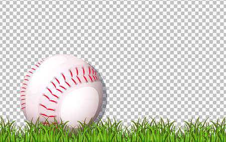 Baseball and grass on transparent background illustrationのイラスト素材