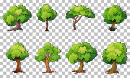 Set of variety trees on transparent background illustrationのイラスト素材