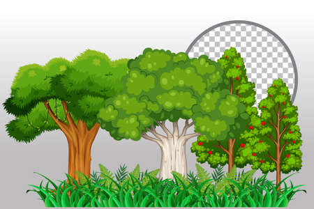 Variety trees on transparent background illustrationのイラスト素材