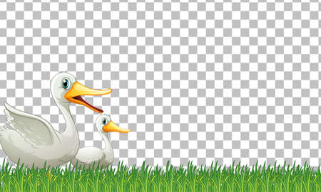 Duck and baby on transparent background illustrationのイラスト素材