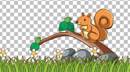 Squirrel on the grass field on transparent background illustrationのイラスト素材
