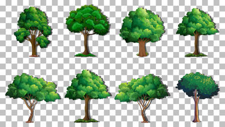 Set of variety trees on transparent background illustrationのイラスト素材
