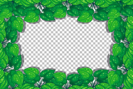 Nature plants frame transparent background illustrationのイラスト素材