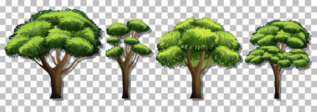 Set of various trees on transparent background illustrationのイラスト素材