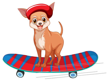 Chihuahua dog wears helmet standing on skateboard illustrationのイラスト素材