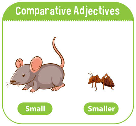 Comparative Adjectives for word mouse illustrationのイラスト素材