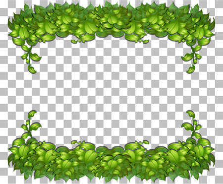 Nature plants frame transparent background illustrationのイラスト素材