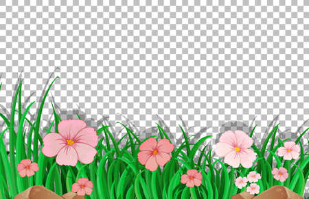 Pink flower field template on transparent background illustrationのイラスト素材