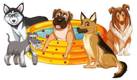Cute puppy dogs  in rubber swimming pool illustrationのイラスト素材