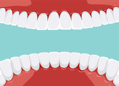 Human teeth inside mouth with whiten teeth illustration
