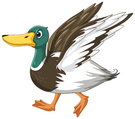 Little duck on white ground illustrationのイラスト素材
